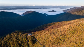 neuseeland paparoa foto Neil Silverwood